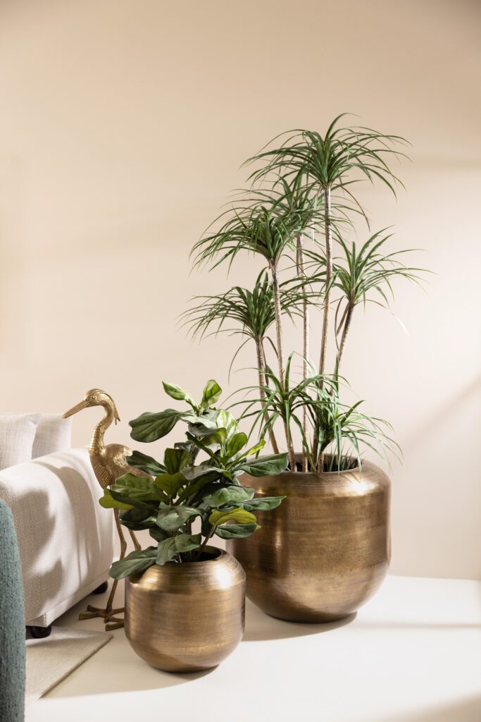 Brass Is Back—Here’s Why You Need It in Your Home