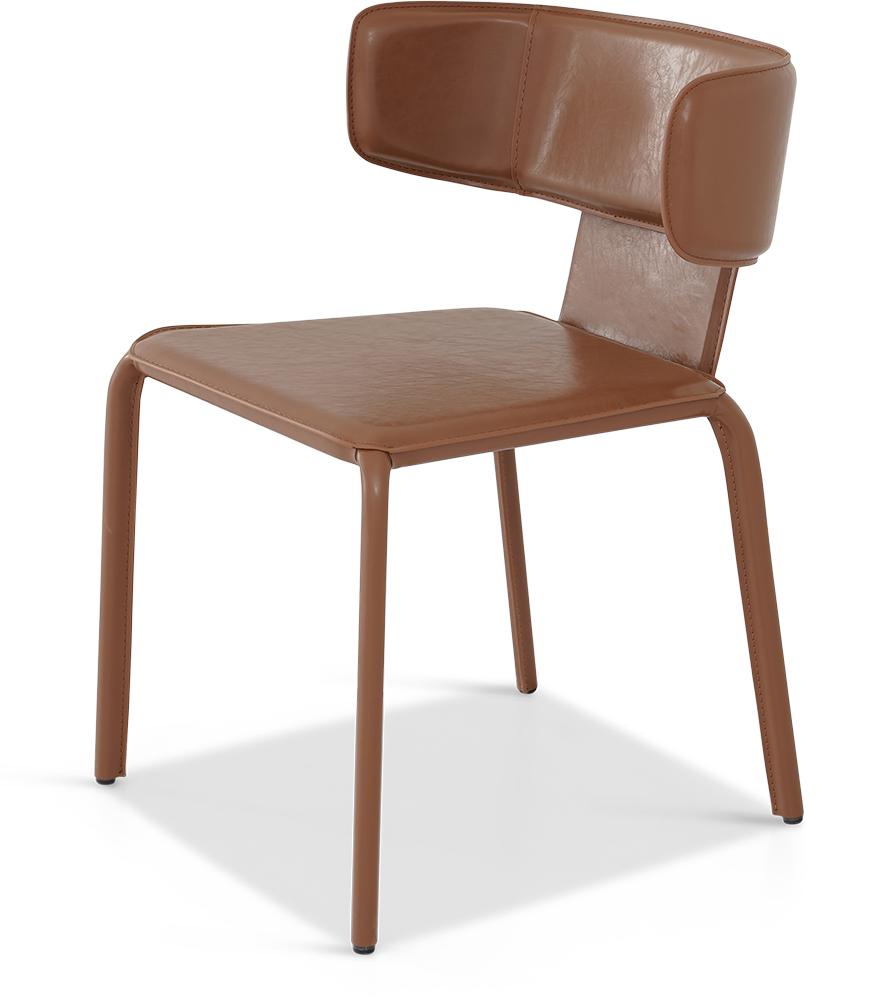 الصفحة الرئيسية